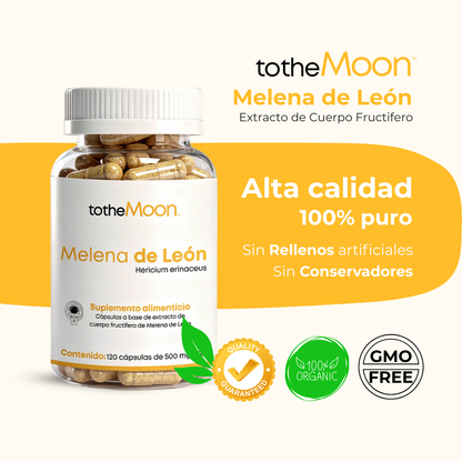 🧠✨🍄 Neuro Flow Set | Melena de León 120 cápsulas 500 mg + L -Teanina 120 cápsulas 500 mg